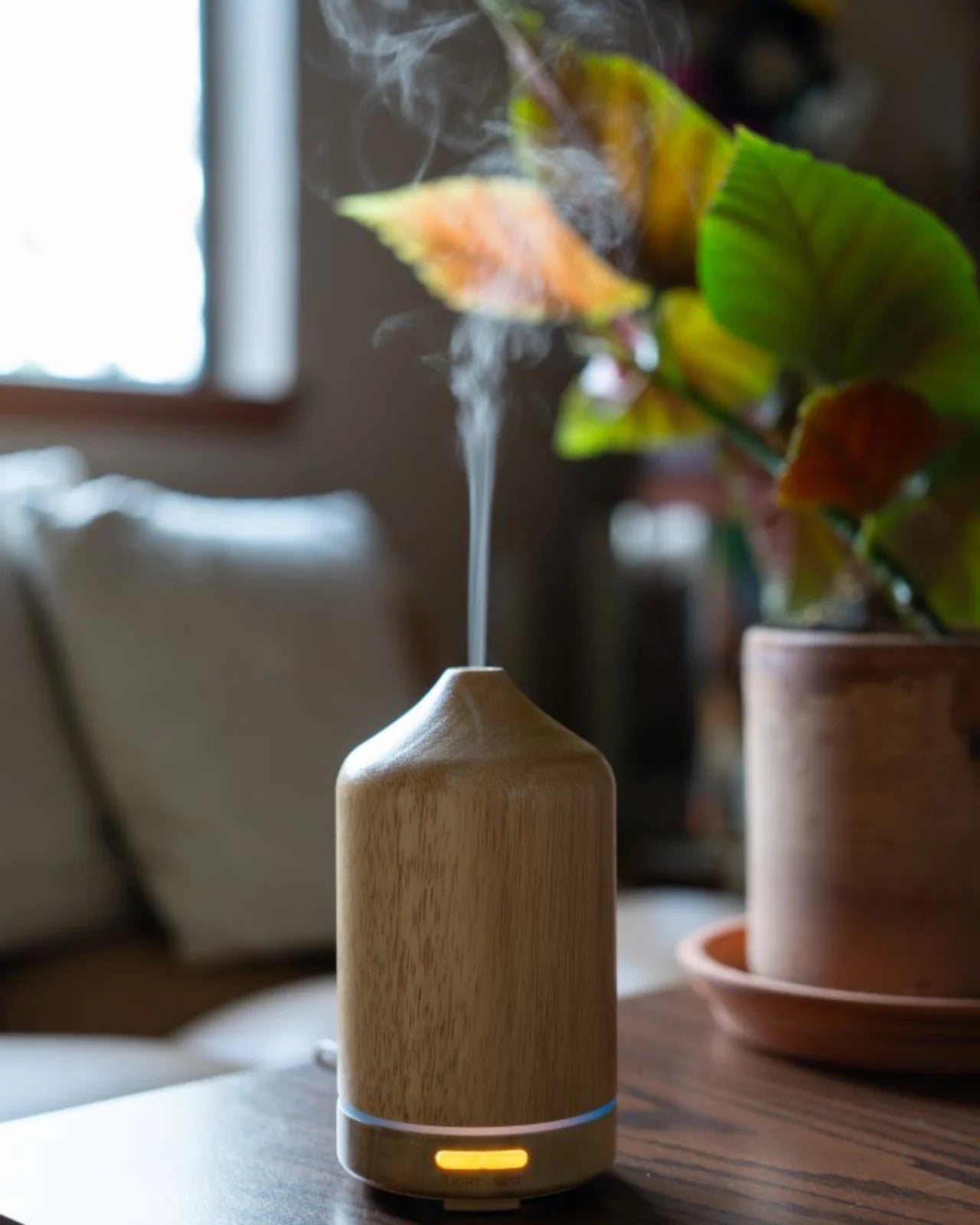 Forest Fog Essential Oil Trio