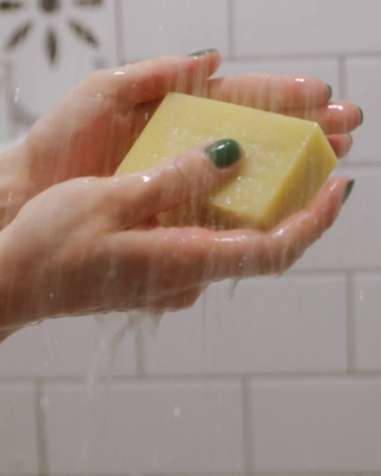 Forest Fog Bar Soap Trio