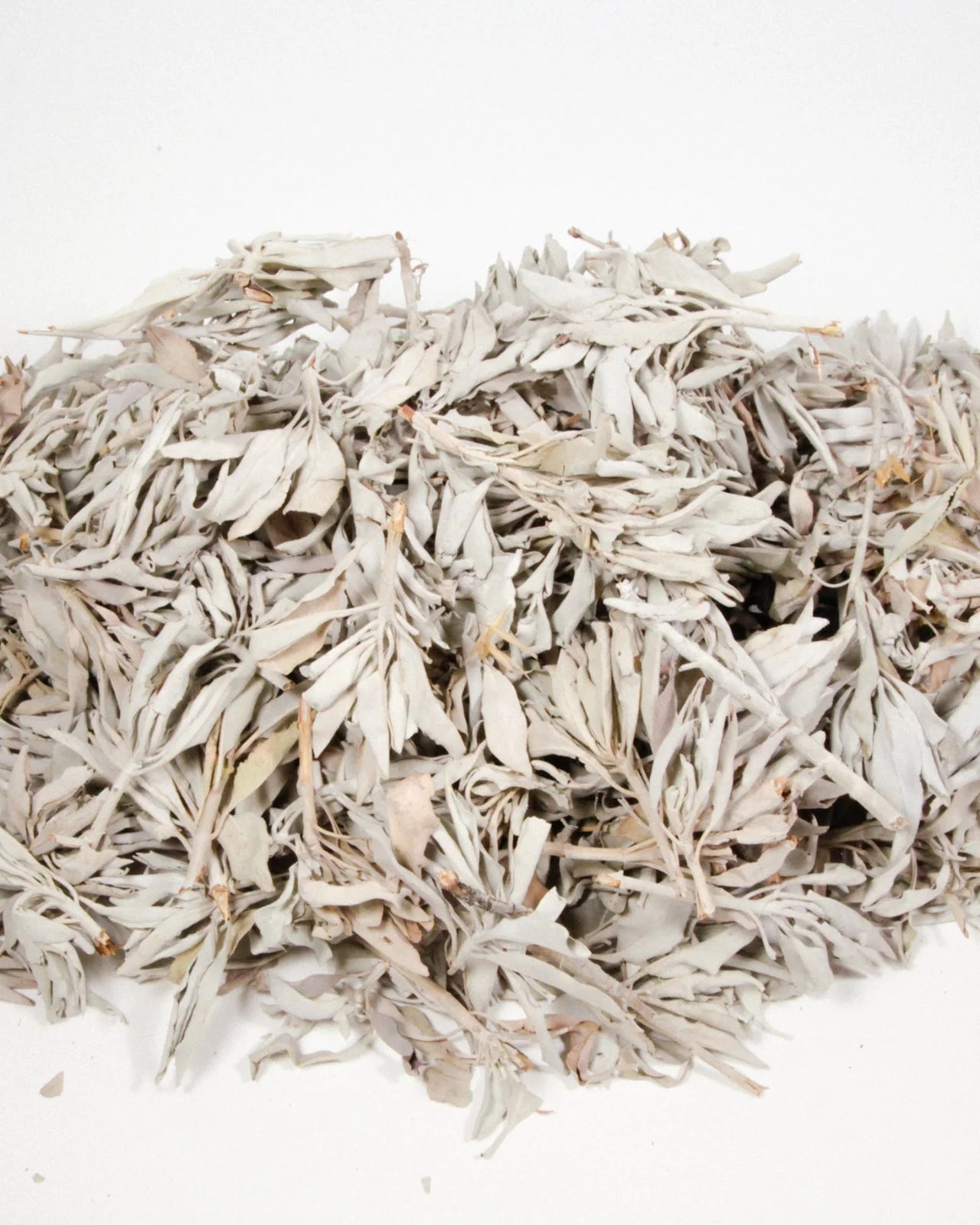 Farmed White Sage Loose Leaves - 1 lb