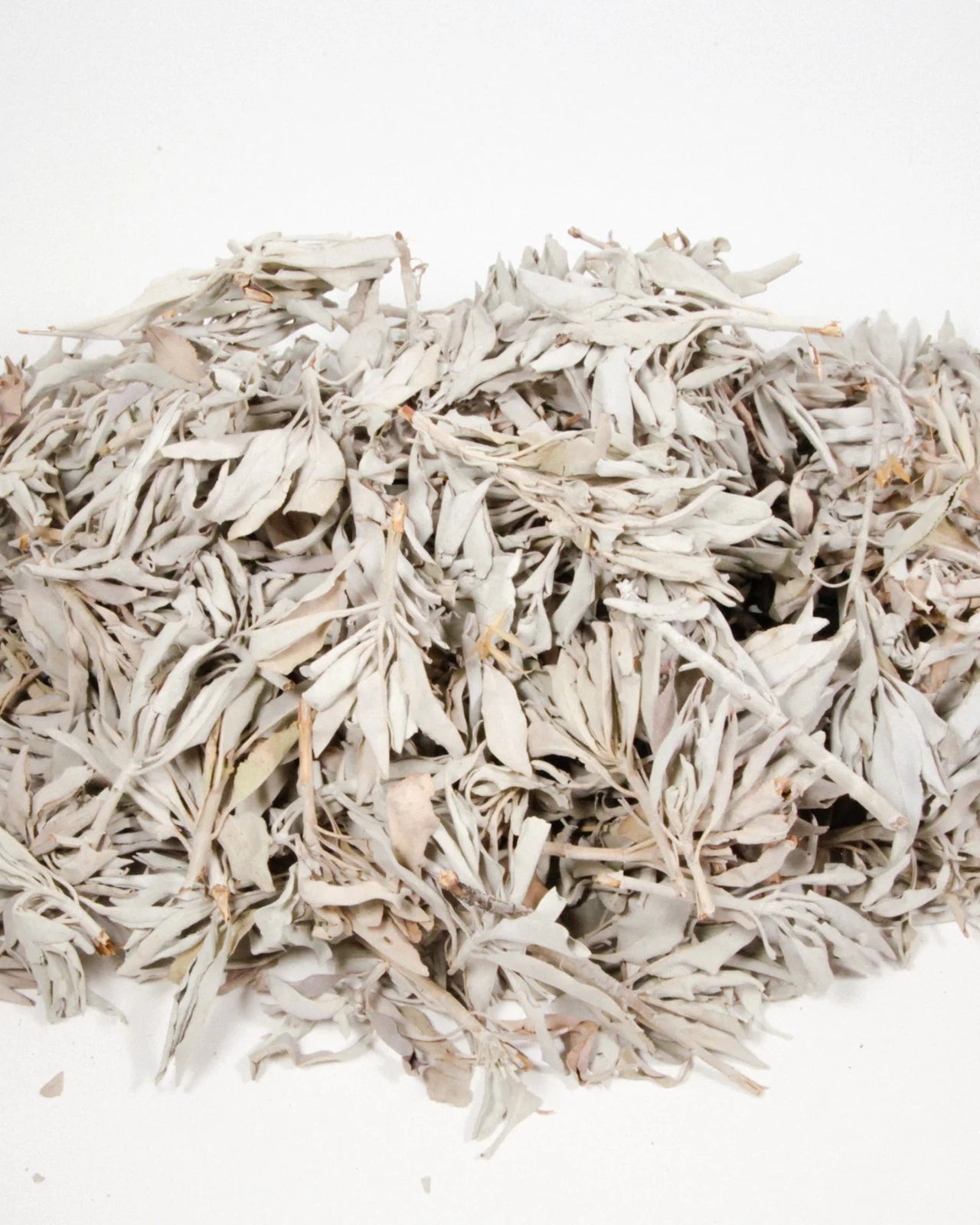 Farmed White Sage Loose Leaves - 1/2 lb.