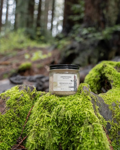 Into The Redwoods Clean Routine Set