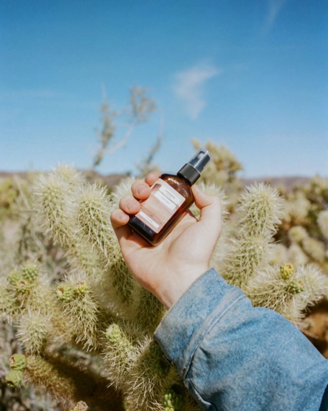 Desert Full Routine Curated Set