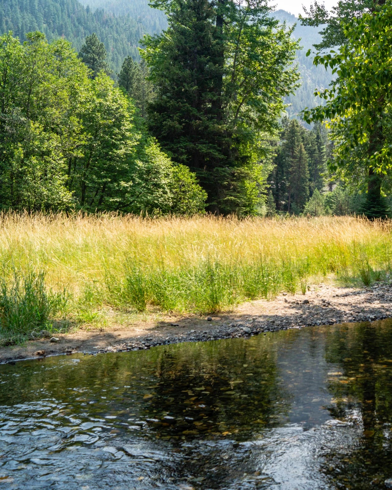 Hurricane Creek Field Lab 2025 Cologne