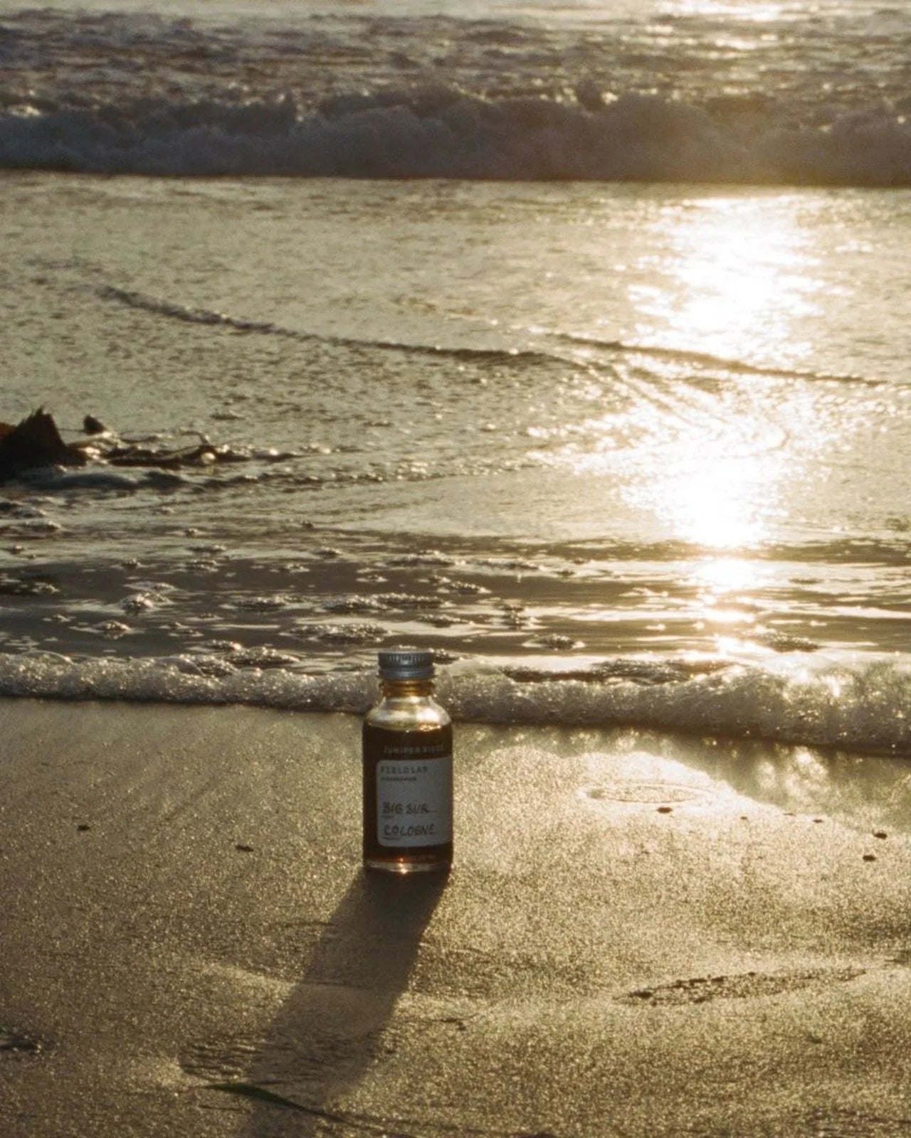 Big Sur Field Lab Cologne- 2025 Release