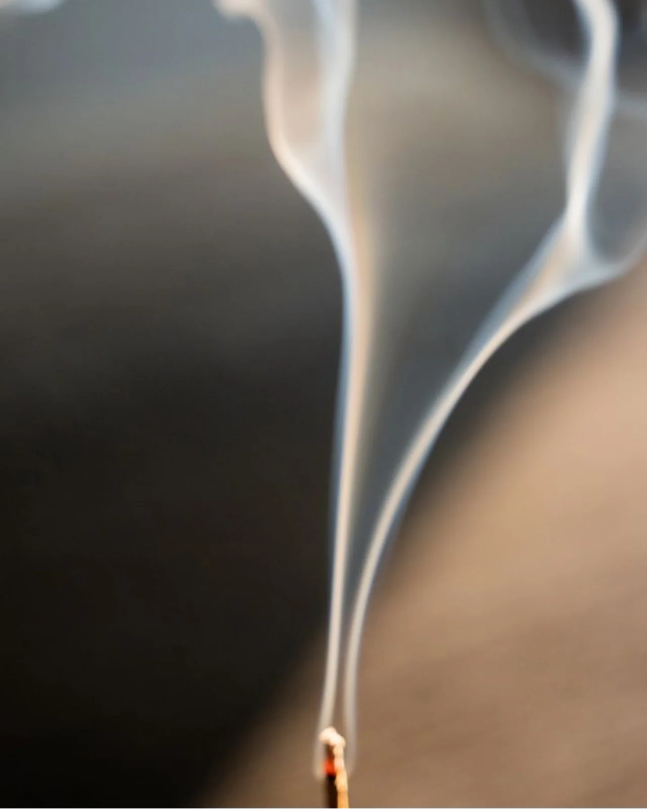 California Juniper Campfire Incense (20 Sticks)