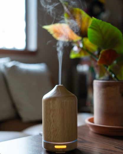 Wild Spaces Essentials Set